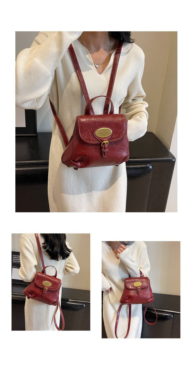 Private Label Womens Handbag for Brand Orders – SS-18156 — 12