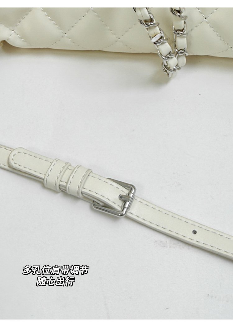 حقيبة أزياء نسائية مباشرة من المصنع لطلبات العلامات التجارية – SS-27152 — 12