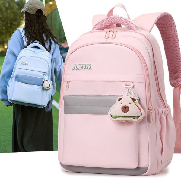 OEM Student Backpack for Travel and Outdoor Use