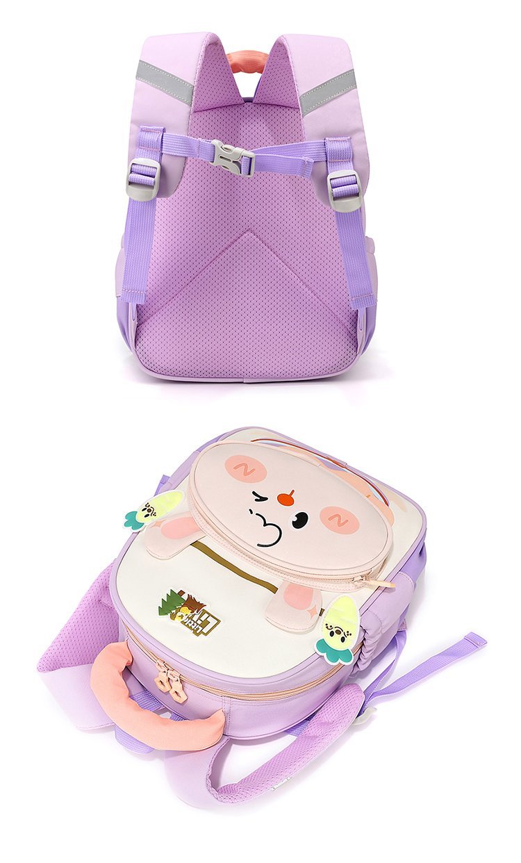 Factory Direct Backpack for School and Daily Use — 29