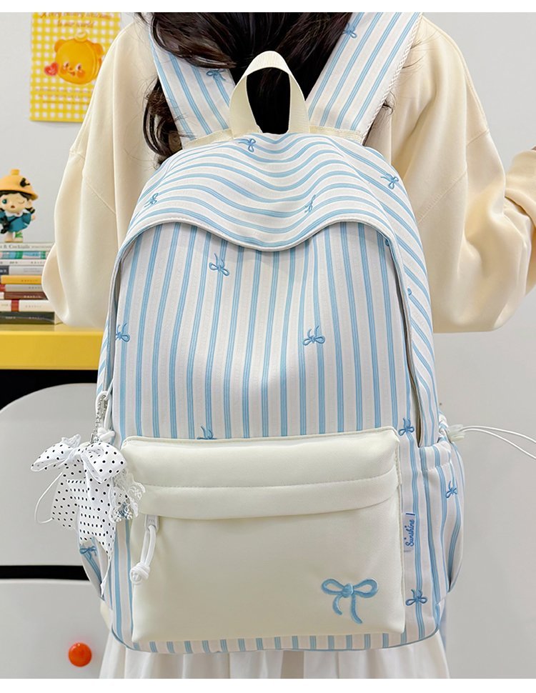 Factory Direct Daily Backpack for School and Daily Use — 17