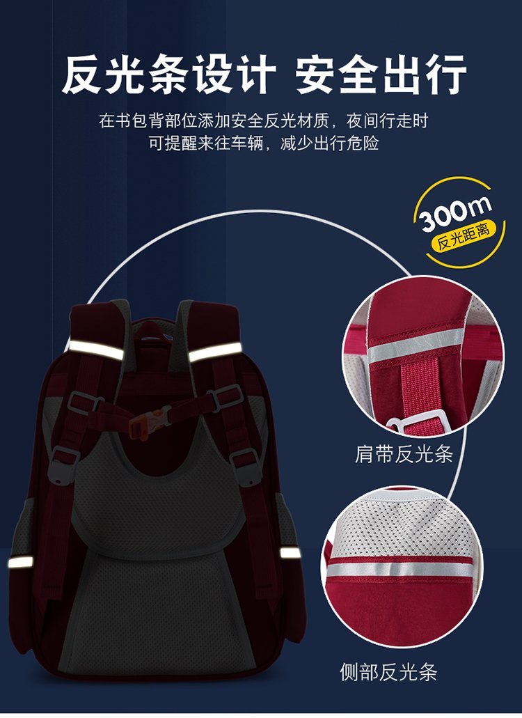 Wholesale Student Backpack for Bulk Wholesale Buyers — 9